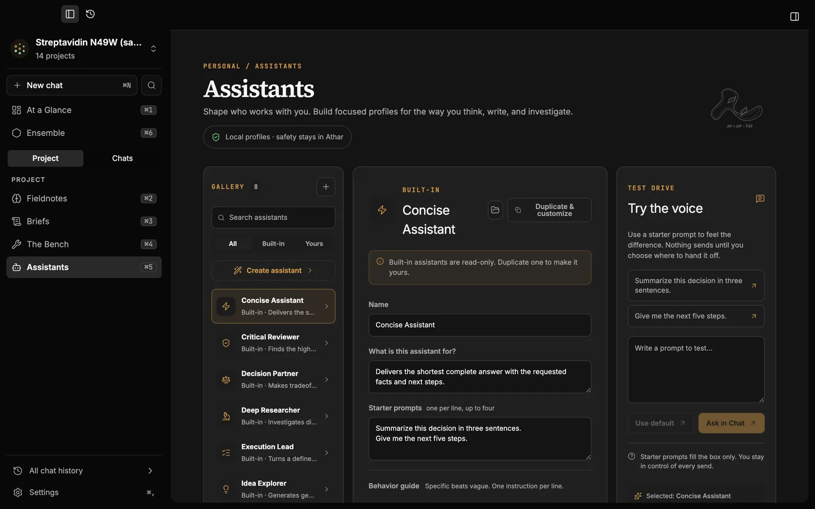 The Assistants page with the built-in assistants, the settings of the Concise Assistant and a test-drive panel.